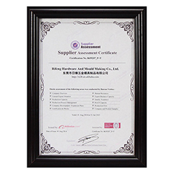 Assessed Supplier 2015a